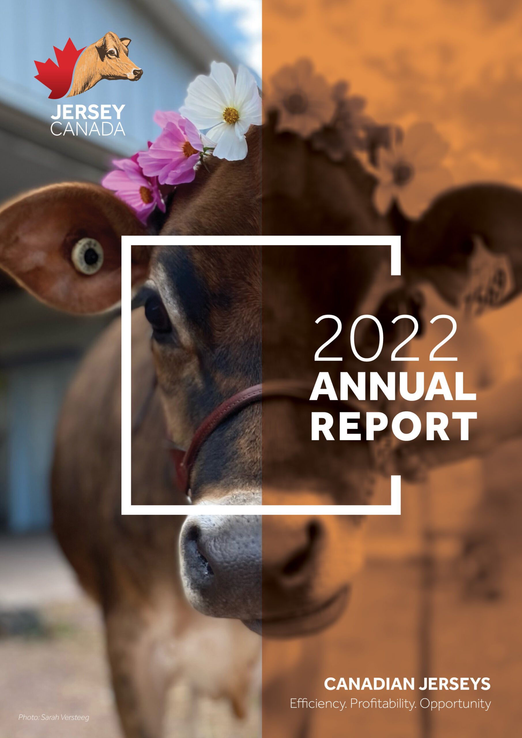 2022 annual reportCover-EN